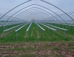 substrate-systeme-www substrate-systeme-www